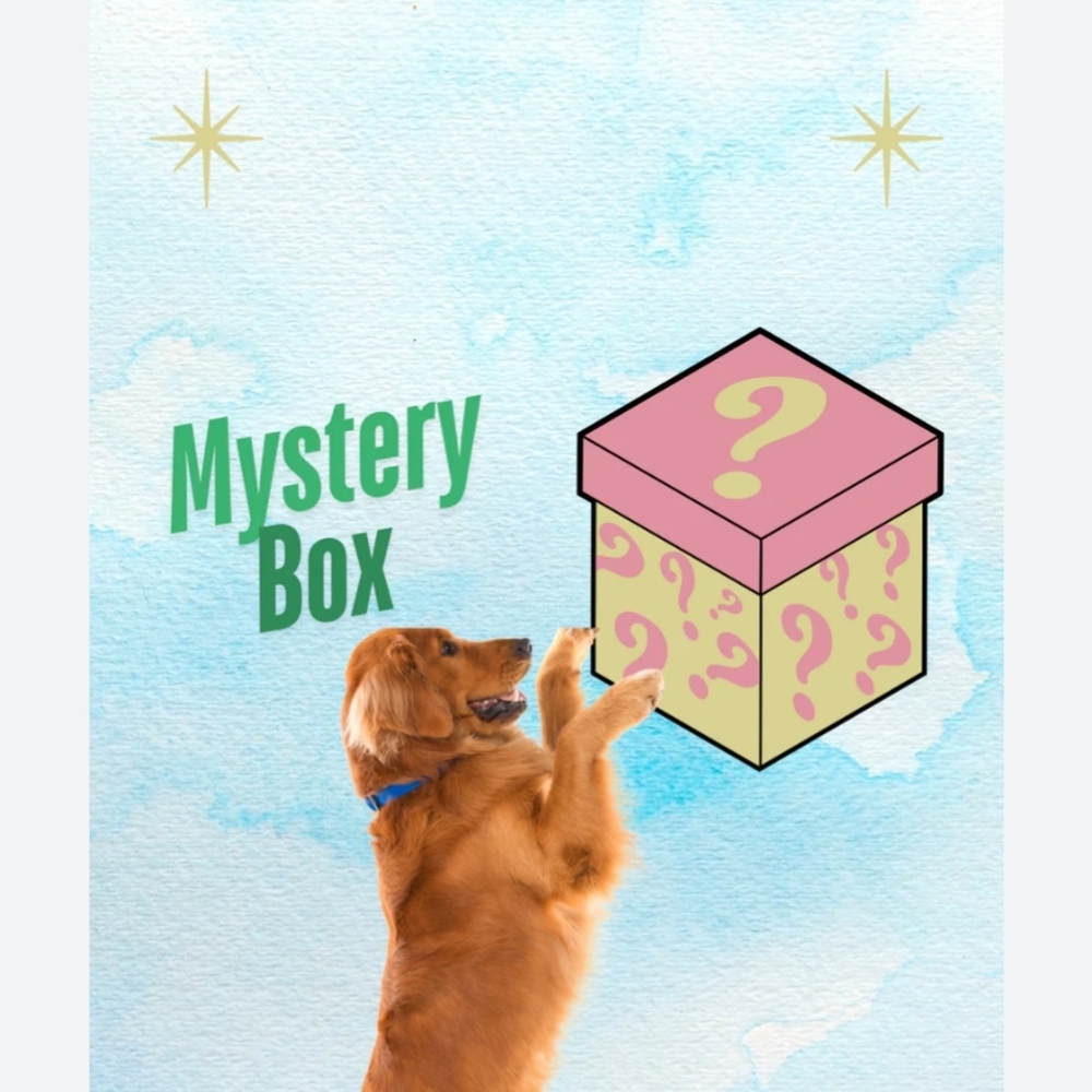 6 Pcs Of New Items Mystery Box for Dogs